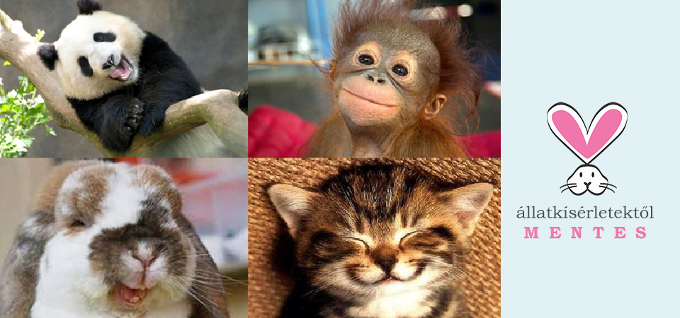 Amit tudnod kell a Dermaviduals® készítmények összetételéről! 3 13 allatkiserletek